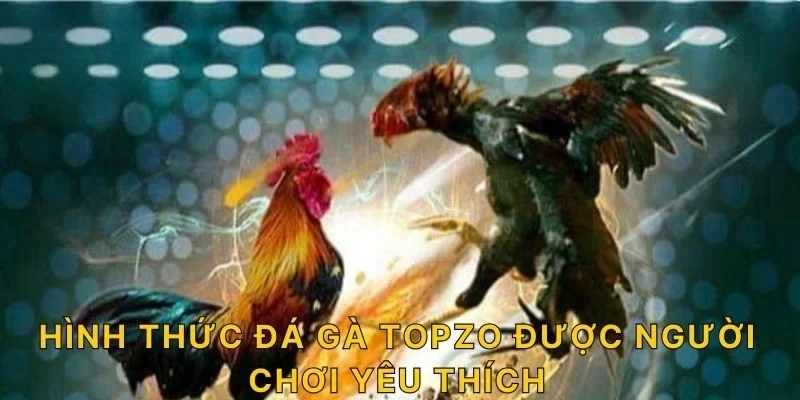 Hình thức đá gà TOPZO được người chơi yêu thích