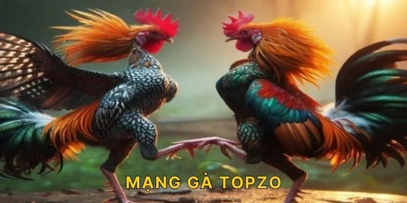 Bí Quyết Xem Màu Mạng Gà TOPZO Chính Xác Nhất Năm 2025