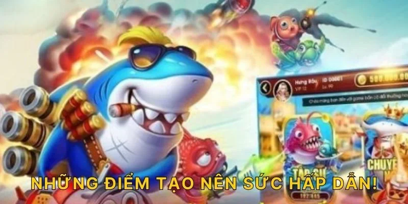 Những điểm tạo nên sức hấp dẫn!