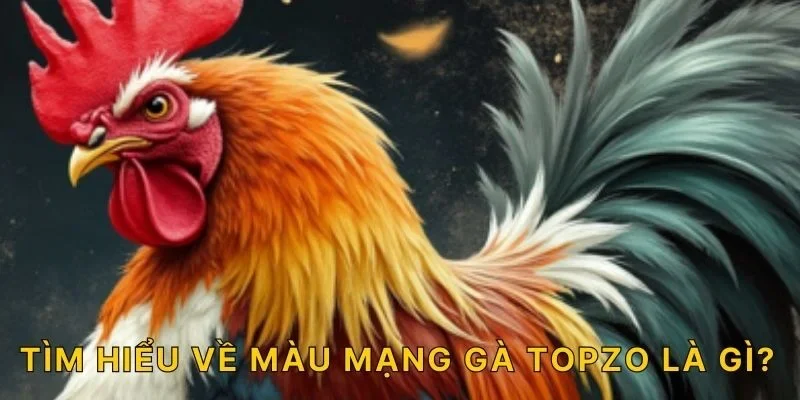 Tìm hiểu về màu mạng gà TOPZO là gì?