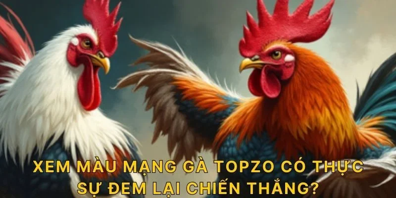 Xem màu mạng gà TOPZO có thực sự đem lại chiến thắng?
